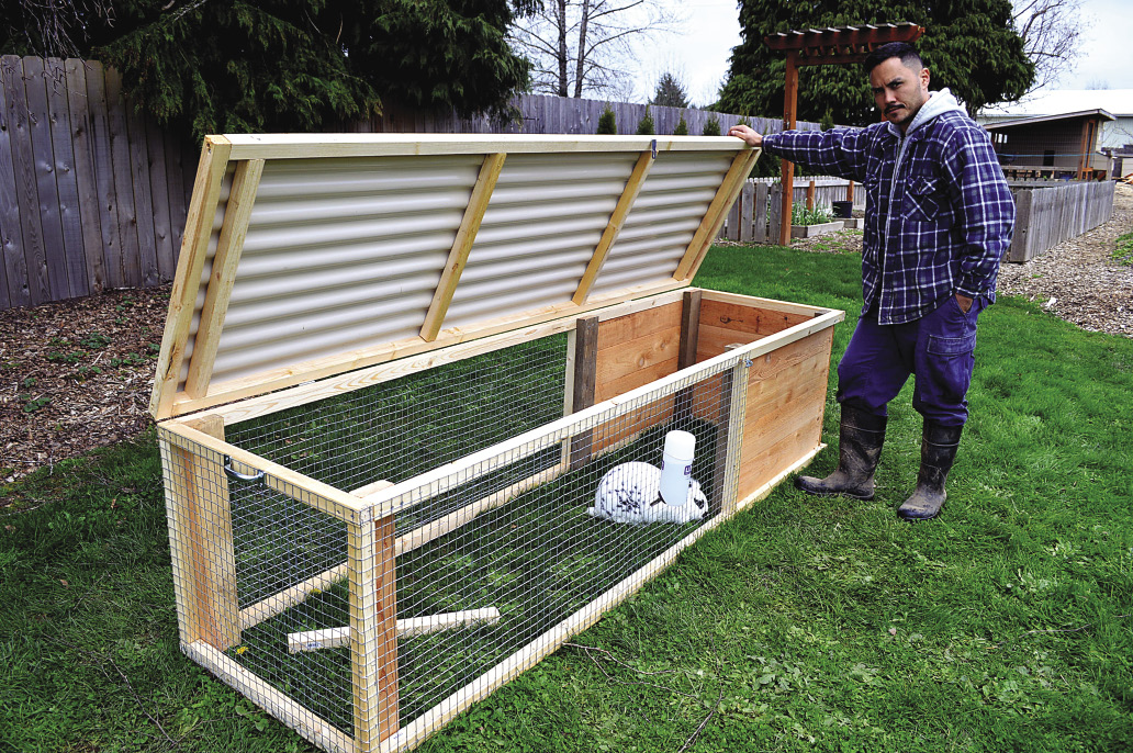Build A Rabbit Hutch And Tractor
